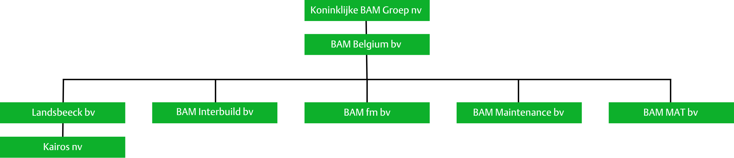 Juridische Structuur Bam Belgium